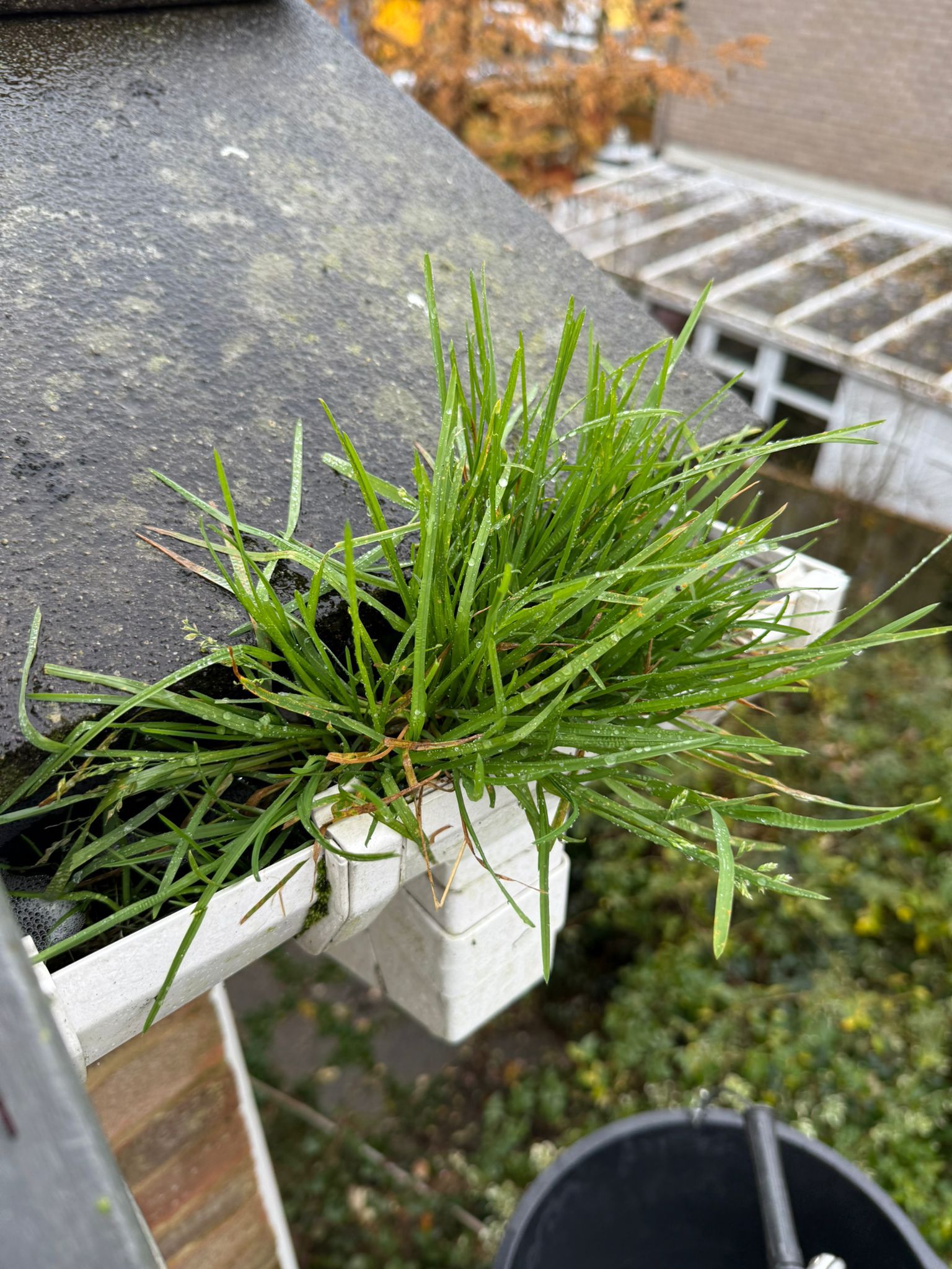Blocked gutter downpipe in Wellingborough